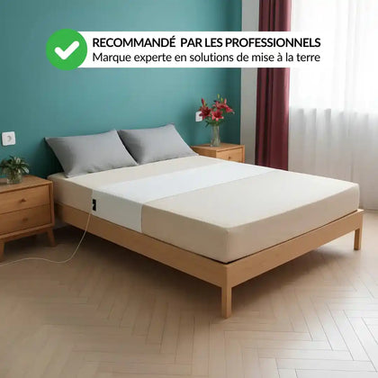 Drap de Mise à la Terre