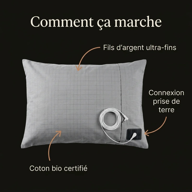 03 Mecanisme Infographie