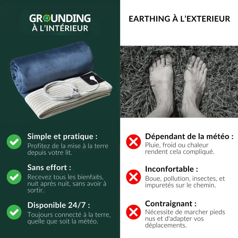 Couverture de Mise à la Terre