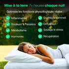 Couverture de Mise à la Terre