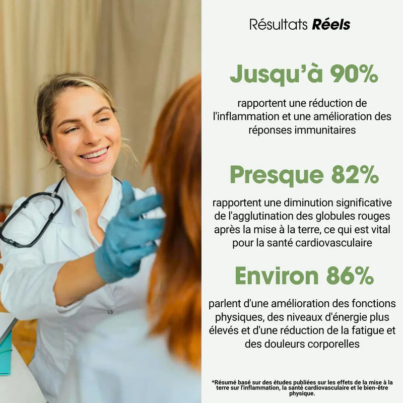 Couverture de Mise à la Terre