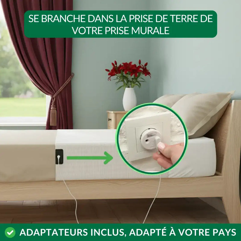 Drap de Mise à la Terre