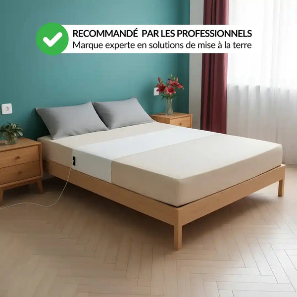 Drap de Mise à la Terre