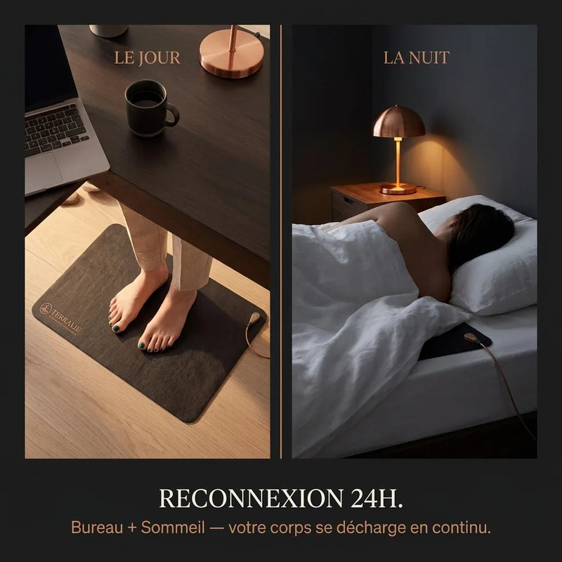 Pack Terralie — Reconnexion jour et nuit